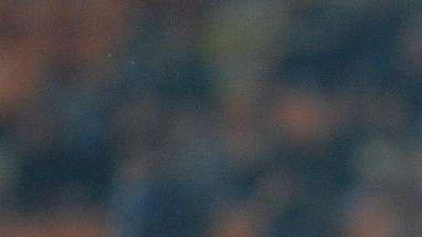 Bruno Fernandes: "Rigore viola inesistente"