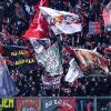 Immagine news Altre notizie n.5