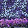 Immagine news Altre notizie n.4