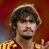 Immagine news La Roma in Nazionale n.1