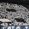 Immagine news Altre notizie n.1