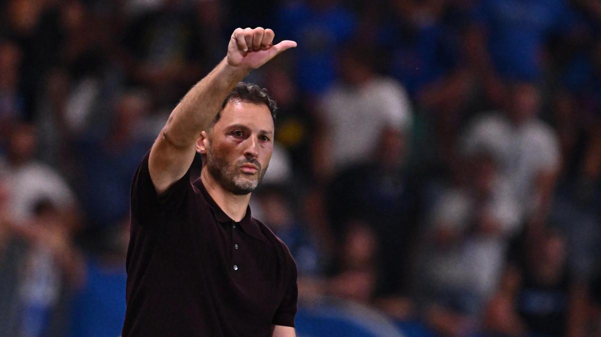 Bologna, Tedesco in uscita: Palladino verso la panchina rossoblù
