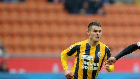 Sampdoria, il sogno è Viviani