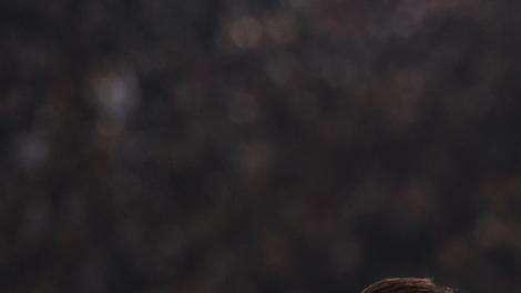 Real Madrid-Roma - I duelli del match