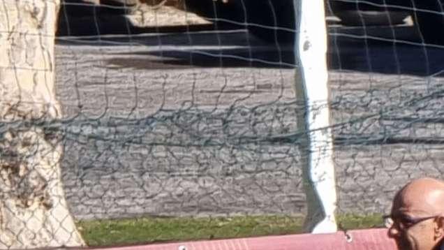 Ufficiale, Vergine nuovo responsabile del settore giovanile del Milan