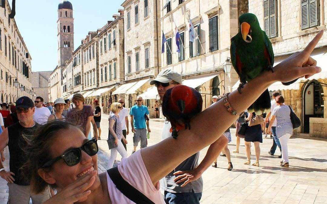 Roma Femminile, le convocate di Bavagnoli per la Florentia: presente Banusic