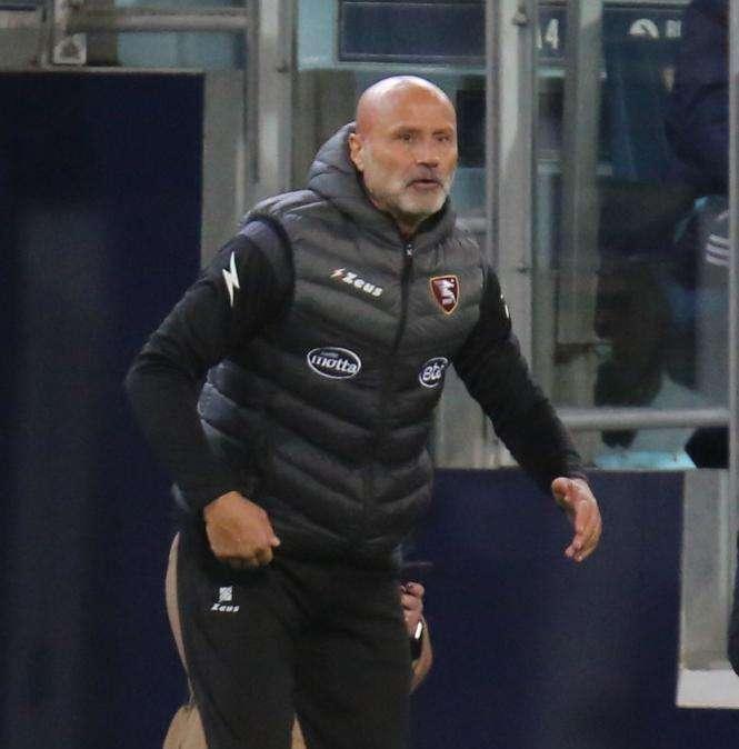 Salernitana, Colantuono: "Con la Juve serve prova gagliarda"