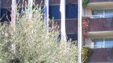 Hilton, i giocatori della Roma osservano lo spettacolo dei tifosi. FOTO!