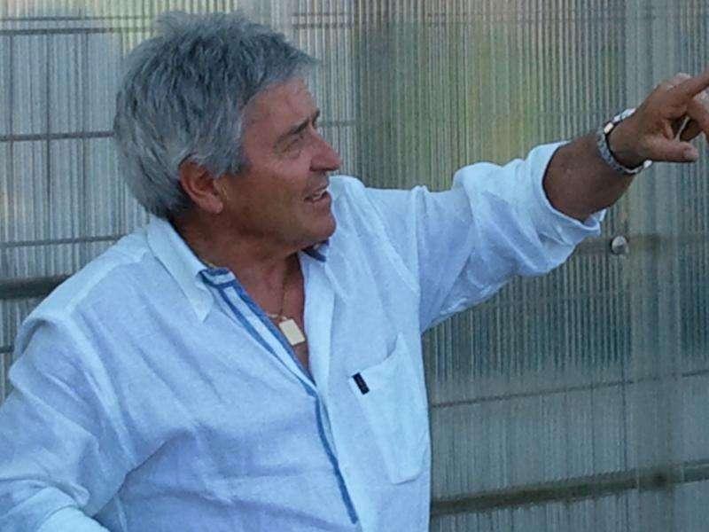 De Sisti: "Fiorentina-Roma? Match all'insegna dell'estremo tatticismo data la posta in palio"