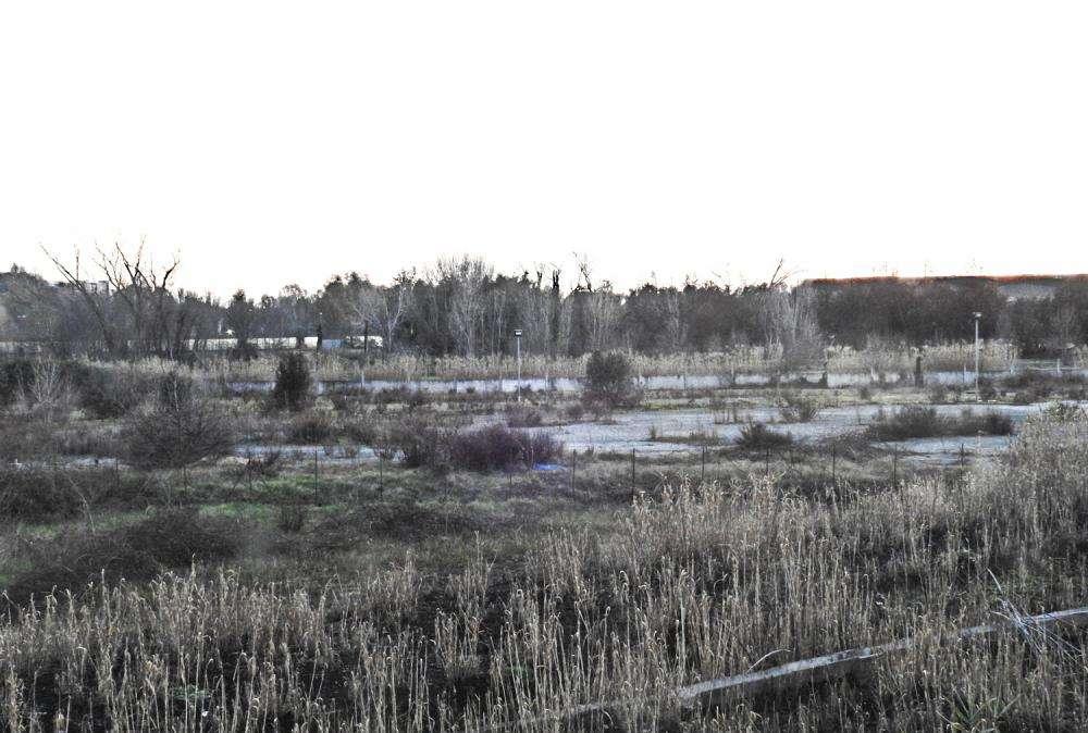 Stadio - Vitek non rileverà i terreni di Tor di Valle prima di febbraio